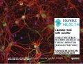 ADNI: A Health Research Network Architected for Collaboration