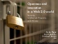 Openness and Innovation in a Web 2.0 world