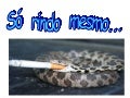 SOLAMENTE RIENDO EXACTAMENTE