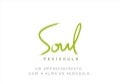 Soul Península - 3 e 4 quartos - Península / Barra da Tijuca 