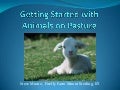Southern sawg   getting started with animals on pasture
