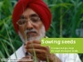 Sowing seeds by yiibu