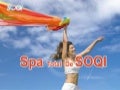 Spa de Salud Total