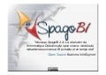 Webinar - SpagoBI 3.0,  la révolution de l'Informatique Décisionnelle open source