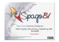 Webinar: Free inquiry and Ad hoc reporting with SpagoBI