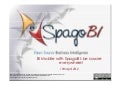 Webinar: BI Mobile with SpagoBI: be aware everywhere!