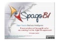 Webinar: The evolution of SpagoBI suite according to the Agile BI approach