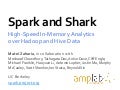 Spark and shark