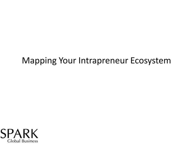 Spark Lean Intrapreneur Model
