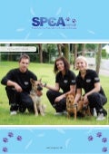SPCA Norge, nasjonal brosjyre 2011