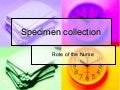 NurseReview.ORg - Specimen Collection