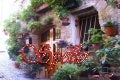 Spello (italy)