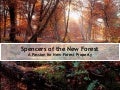 Spencers of the New Forest