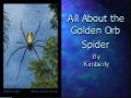 Spider Presentation Kimberly