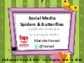 Spiders & Butterflies - 2 Social Media Strategies