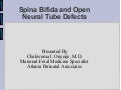 Spina Bifida And Open Neural Tube Defects