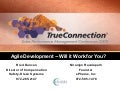 Agile Development: Will It Work for You?