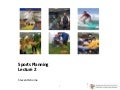 Sports development 2010l6