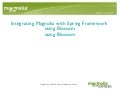 Integrating Magnolia with Spring Framework using Blossom