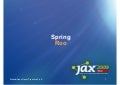 Spring Roo JaxItalia09