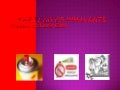 Spring 2010 the fear of inhalants lexie