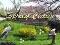 Spring charm
