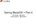 Spring BlazeDS Integration + Flex 4