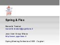Spring e Flex