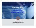 Spring Roo Rev005