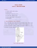 Spur gear