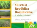 1169 SRI en la República Dominicana