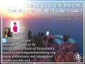 SSE Social Media & Virtual Worlds_Teigland