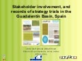 Stakeholder Involvement, J. De Vente And A. Sole
