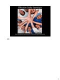 Daily Stand up patterns & heuristics - Fadi Stephan