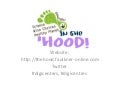 STAO 2011 - Presentation