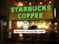 Starbucks International Marketing Strategy