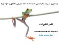 استارتاپ ها و متدولوژی Lean Startup