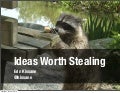 Ideas Worth Stealing