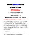 Steller it business