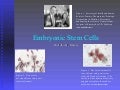 Stemcell
