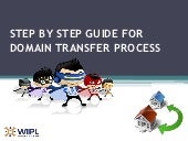 Step by step guide for domain transfer process by WIPL
