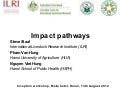 Impact Pathways