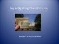 Stimulus Reporting by Jennifer LaFleur