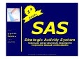 Strategic Activity System