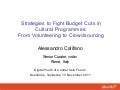 Strategies to fight budget cuts in cultural programmes