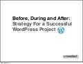 Strategy for a successful WordPress project