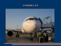 Avion lovit de pasari