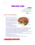 Stroke in Hindi 