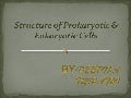 Structureof Prokaryotic Eukary