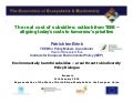 Subsidy Reform - TEEB insights - by Patrick ten Brink of IEEP 11 January 2010 